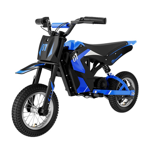 Moto électrique F16 36V/300W - Mini Drive